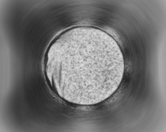 X0000096200950200802081537