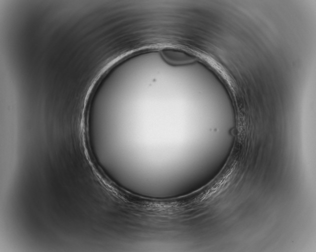 X0000096200951200802081537