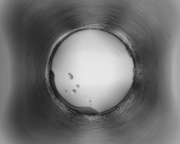 X0000096200952200802081537