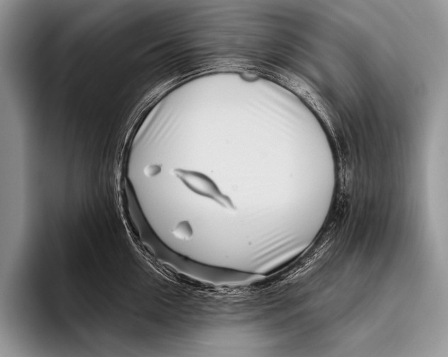 X0000096200954200802081537