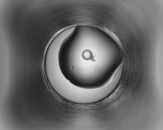 X0000096200956200802081537