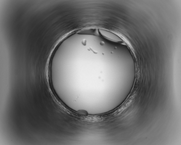 X0000096200957200802081537