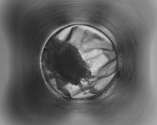 X0000096200958200802081537