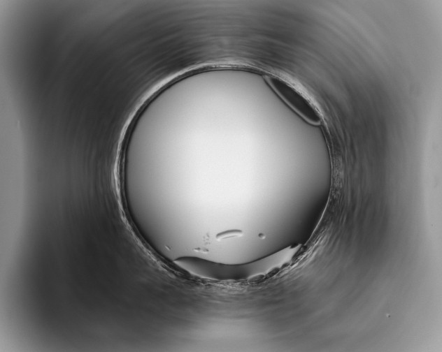 X0000096200959200802081537