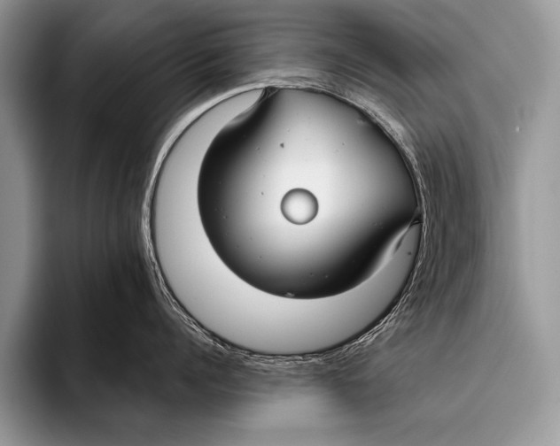 X0000096200960200802081537