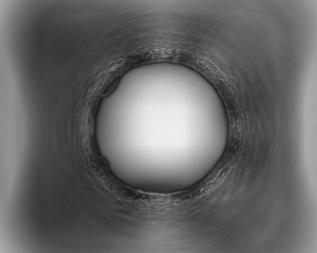 X0000096200961200802081537