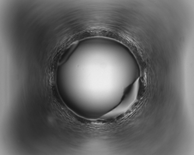 X0000096200965200802081537