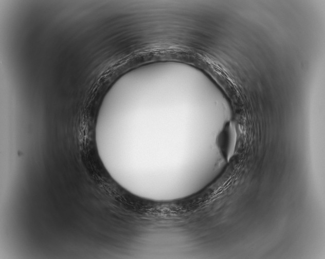 X0000096200966200802081537