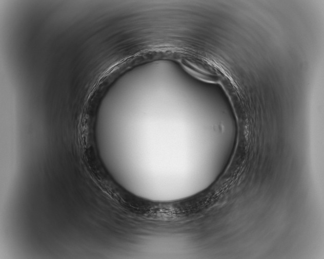 X0000096200968200802081537