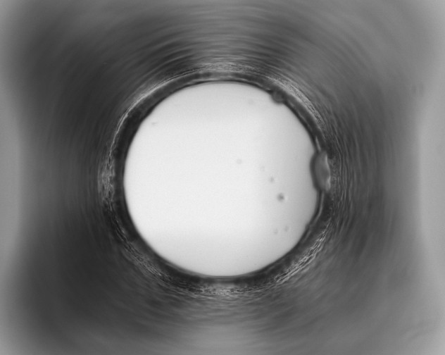 X0000096200971200802081537