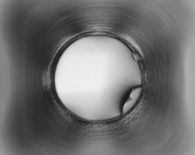 X0000096200972200802081537