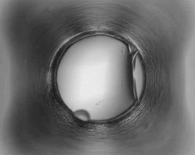 X0000096200975200802081537