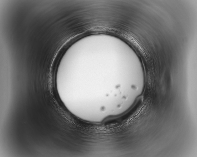 X0000096200976200802081537