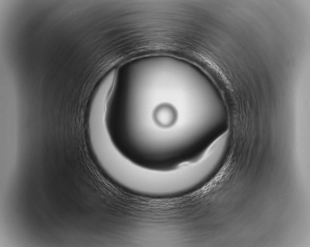 X0000096200977200802081537