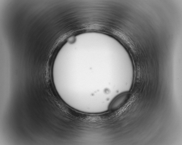 X0000096200978200802081537