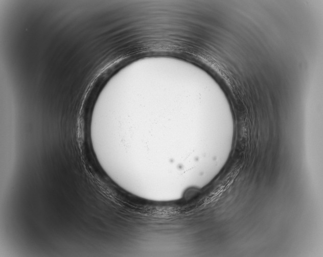 X0000096200979200802081537