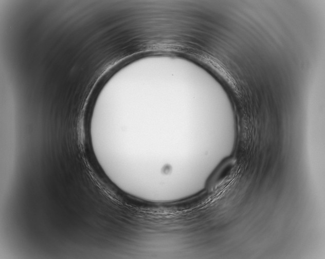 X0000096200980200802081537