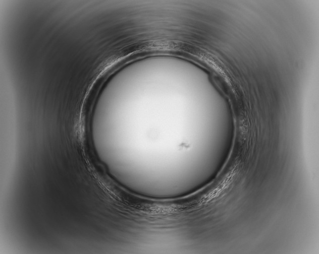 X0000096200981200802081537