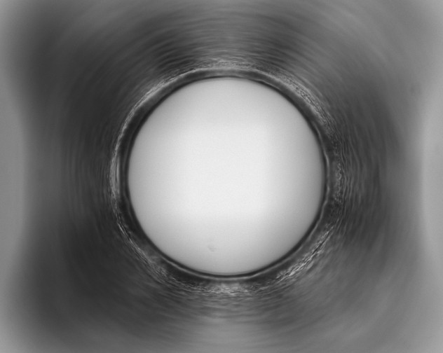 X0000096200982200802081537