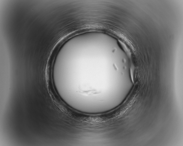 X0000096200983200802081537