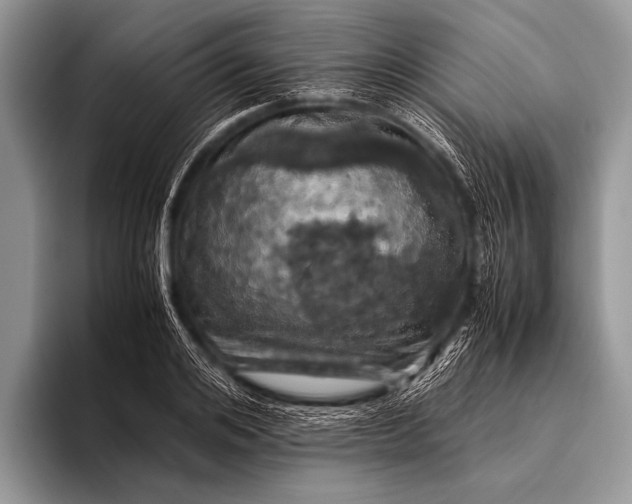 X0000096200984200802081537