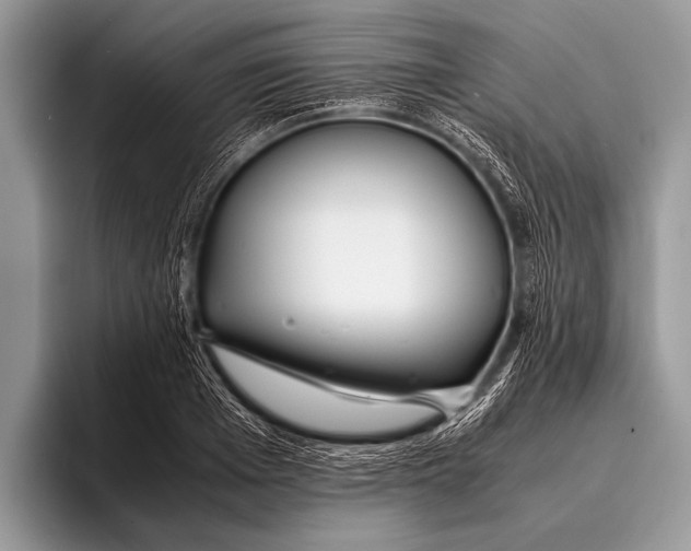 X0000096200985200802081536