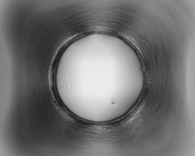 X0000096200987200802081536