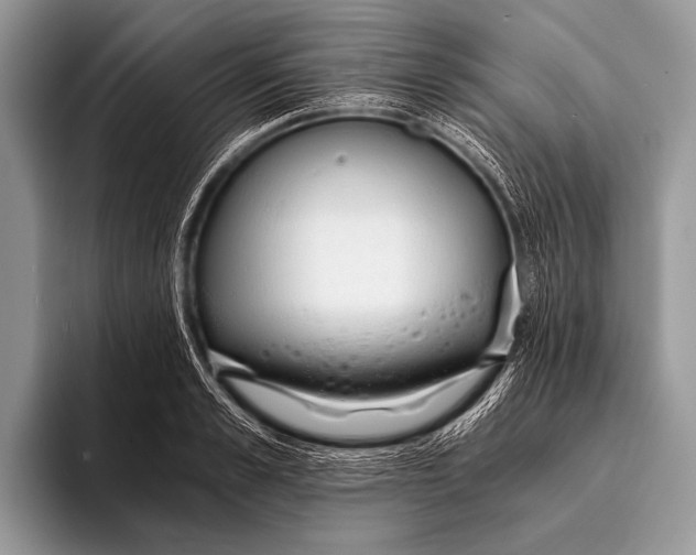 X0000096200989200802081536