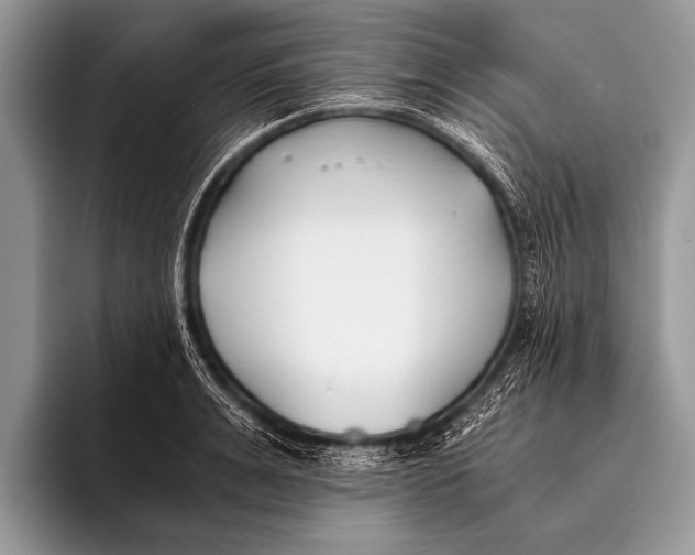 X0000096200991200802081536