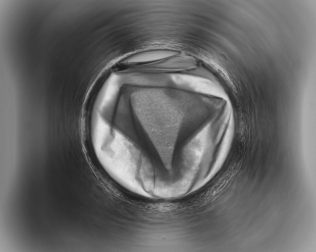 X0000096200992200802081536