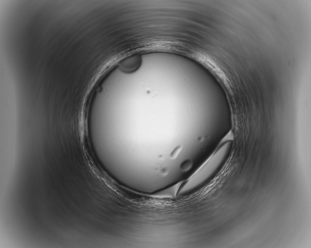 X0000096200994200802081536