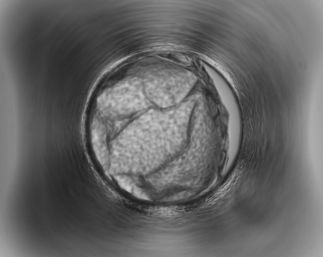 X0000096200995200802081536