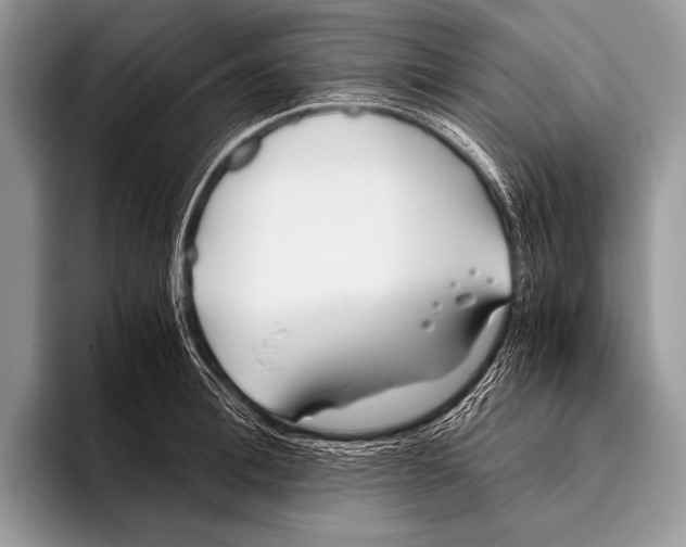 X0000096200996200802081536