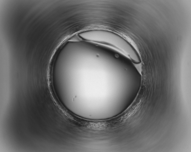 X0000096200997200802081536