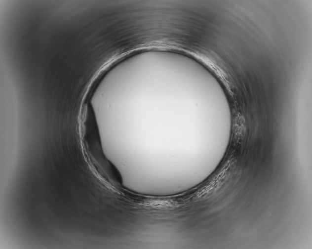 X0000096200998200802081536