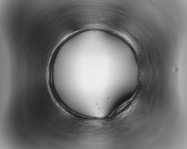 X0000096200999200802081536