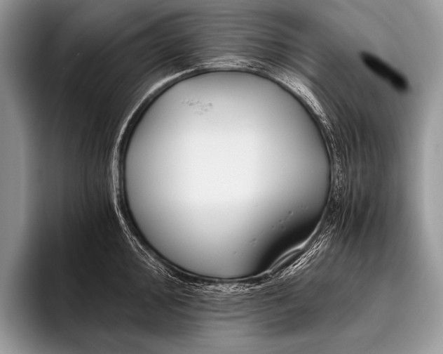 X0000096201000200802081536