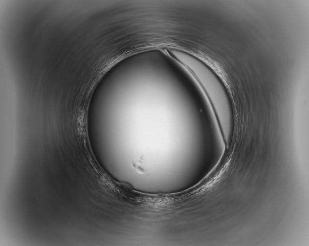 X0000096201001200802081536