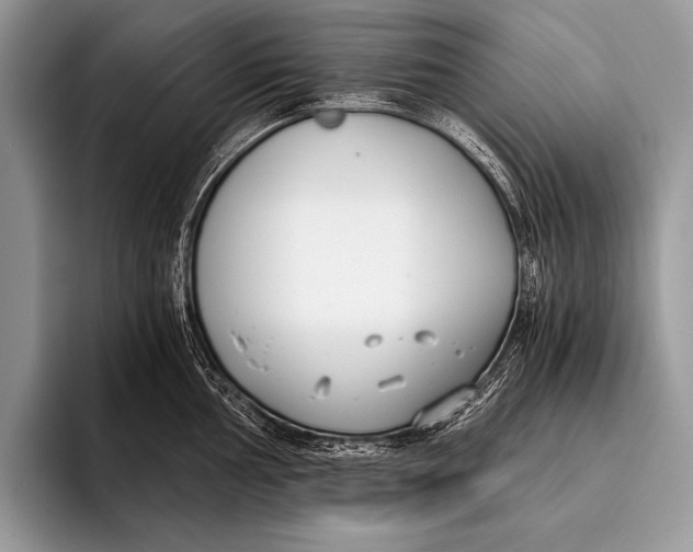 X0000096201002200802081536