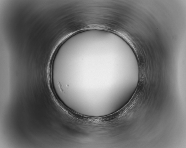 X0000096201003200802081536