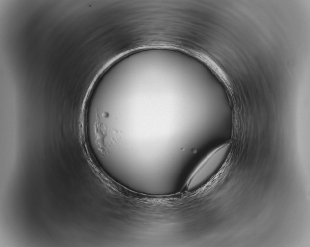 X0000096201004200802081536