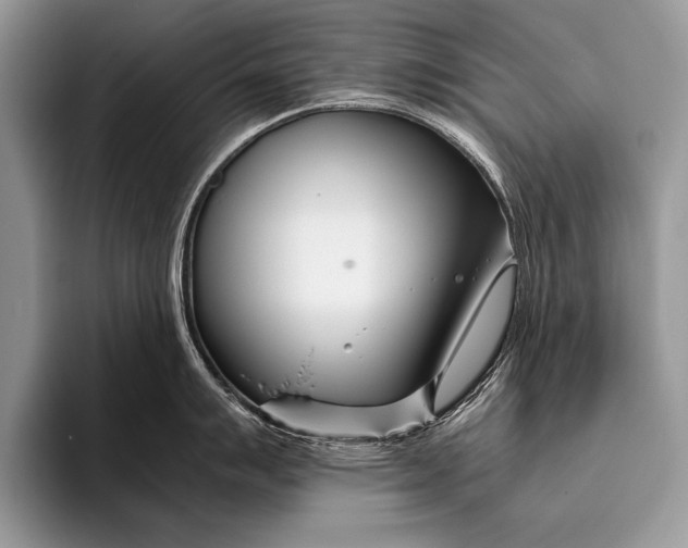 X0000096201007200802081536