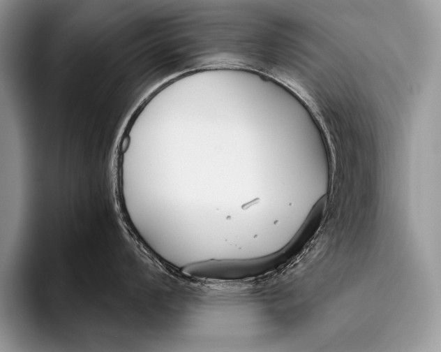 X0000096201008200802081536