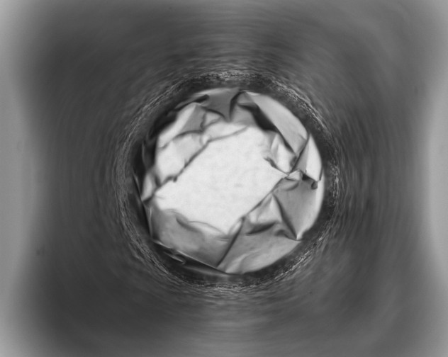 X0000096201009200802081536