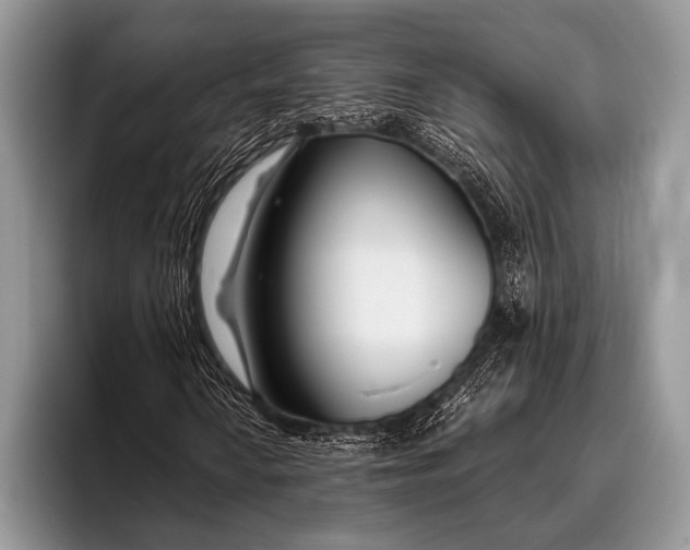 X0000096201010200802081536