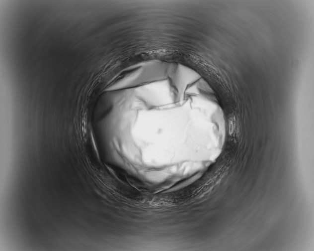 X0000096201011200802081536