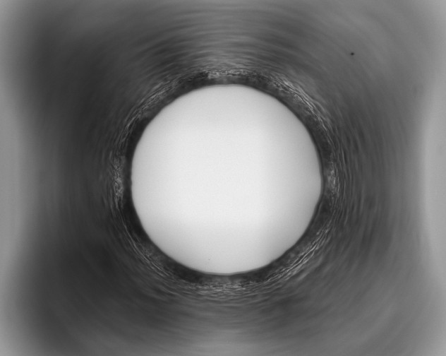 X0000096201012200802081536