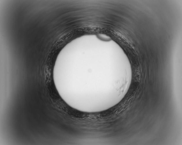 X0000096201013200802081536