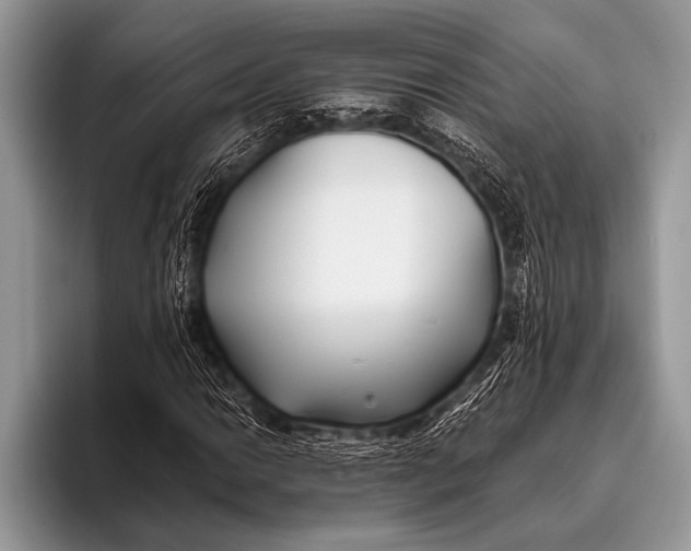 X0000096201014200802081536