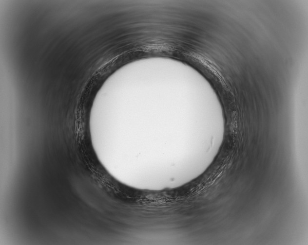 X0000096201015200802081536